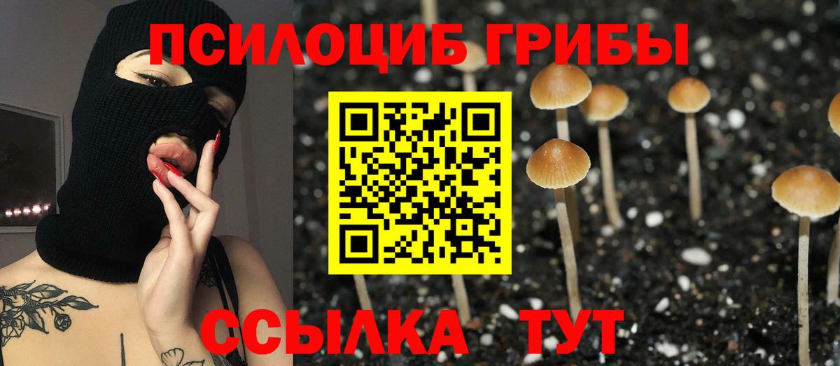 Славянск-на-Кубани  Галлюциногенные грибы Magic Shrooms  Галлюциногенные грибы прущие грибы  Вход с VPN 